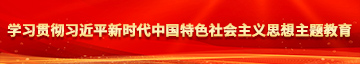 操大美女逼学习贯彻习近平新时代中国特色社会主义思想主题教育